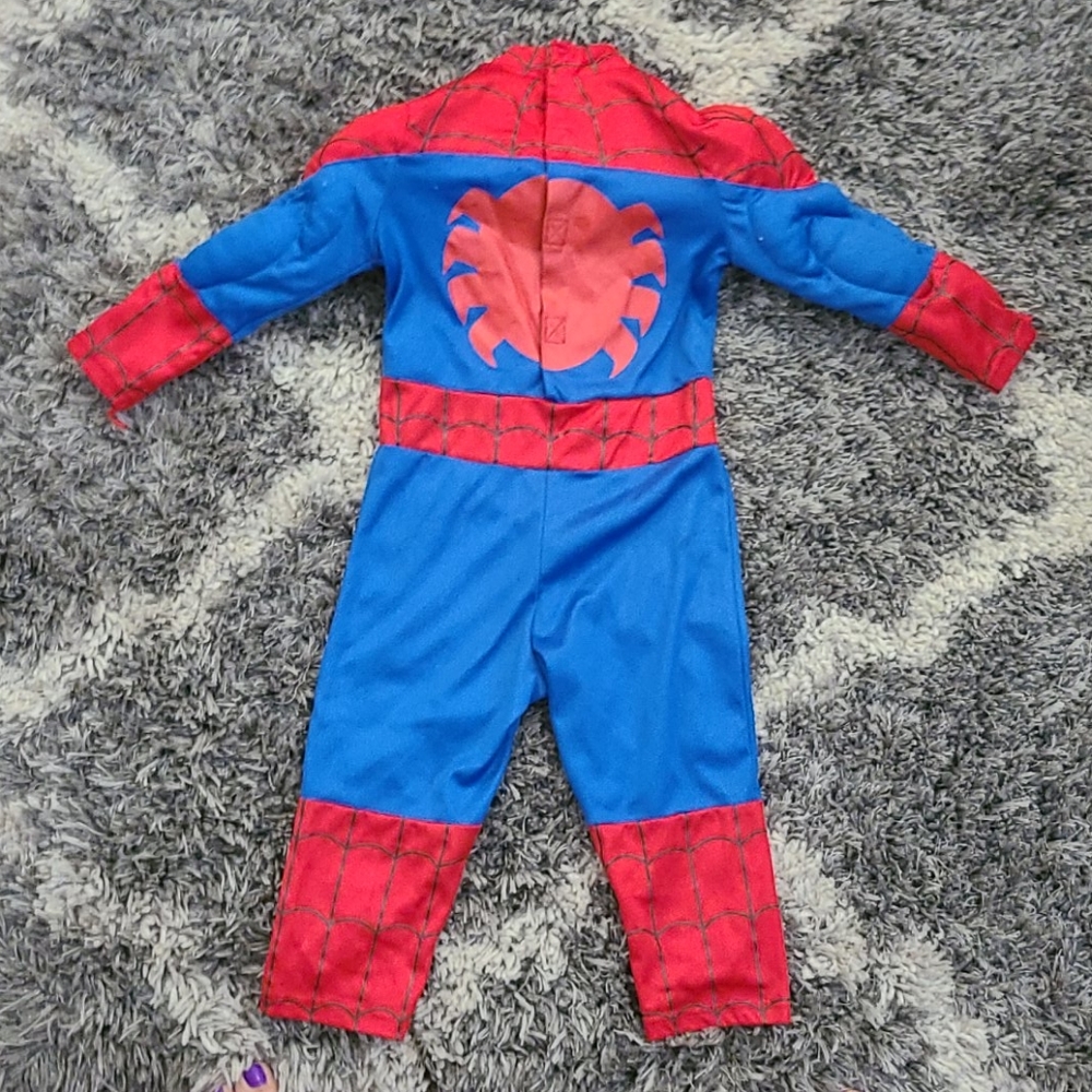 Spider Man - Picture 2 of 6